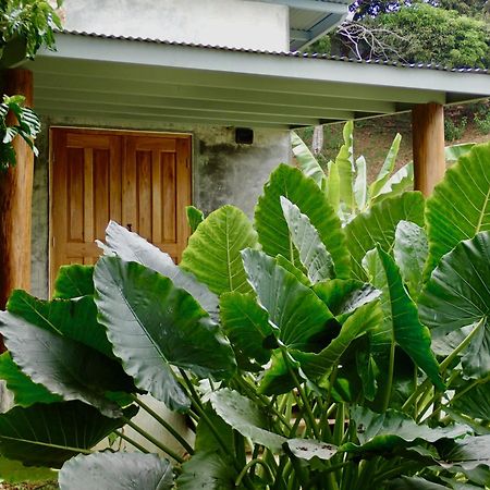 Casa Salvaje Vacation Rentals Bocas del Toro Esterno foto