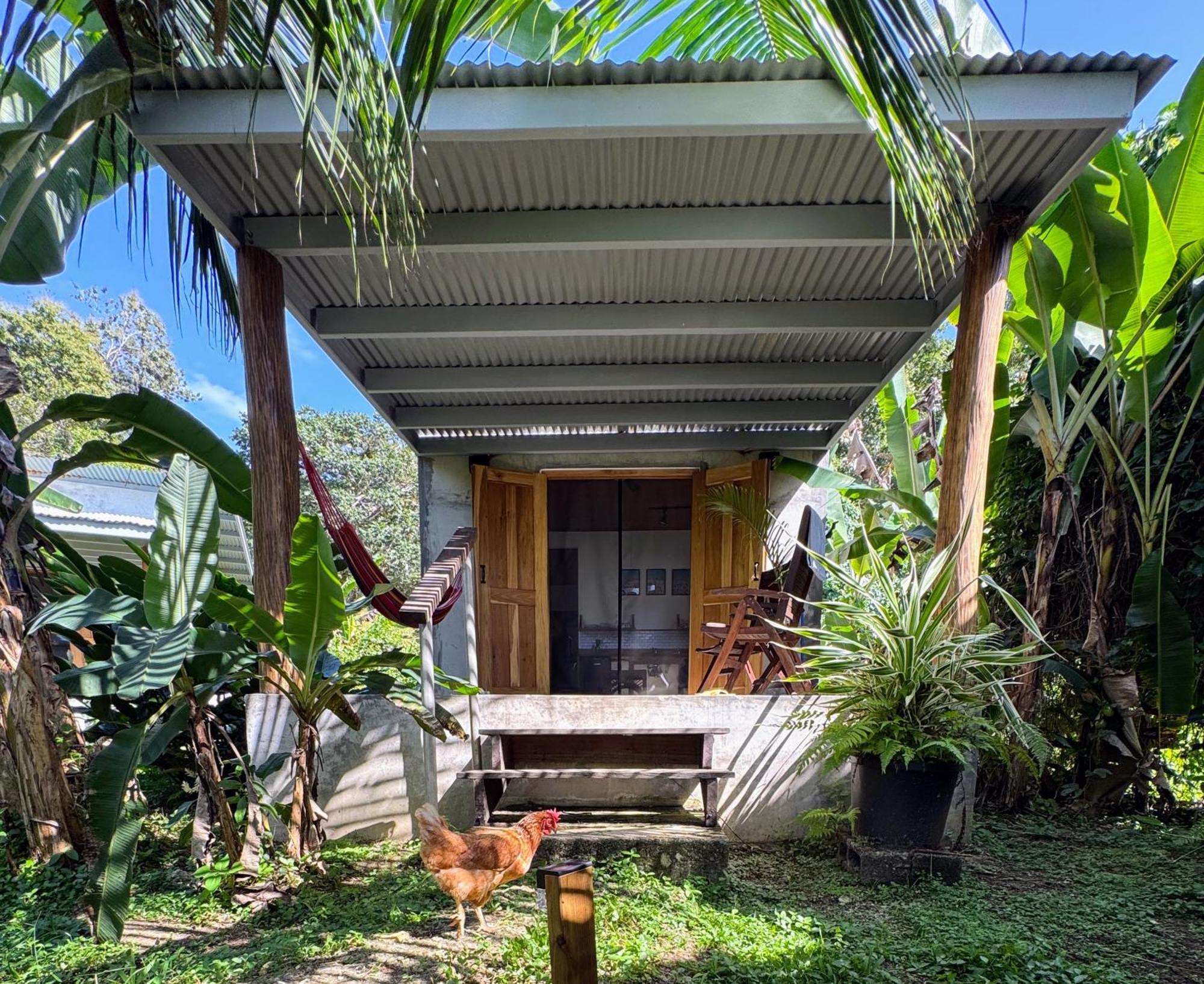 Casa Salvaje Vacation Rentals Bocas del Toro Esterno foto